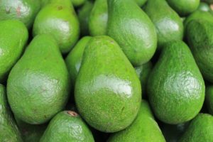 fat content of avocado