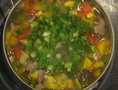 MEAT AND VEGGIES SOUP